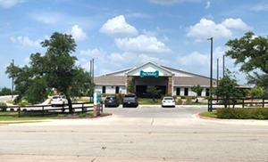 Pet Paradise - Cedar Park