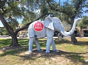 Firehouse Animal Health Center 183