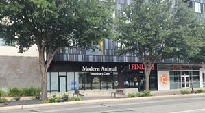 Modern Animal 