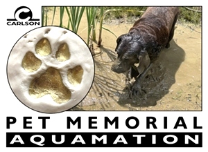 Pet Aquamation 26 Pounds to 50 Pounds