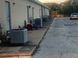 Paws In A Paradise Dumpster